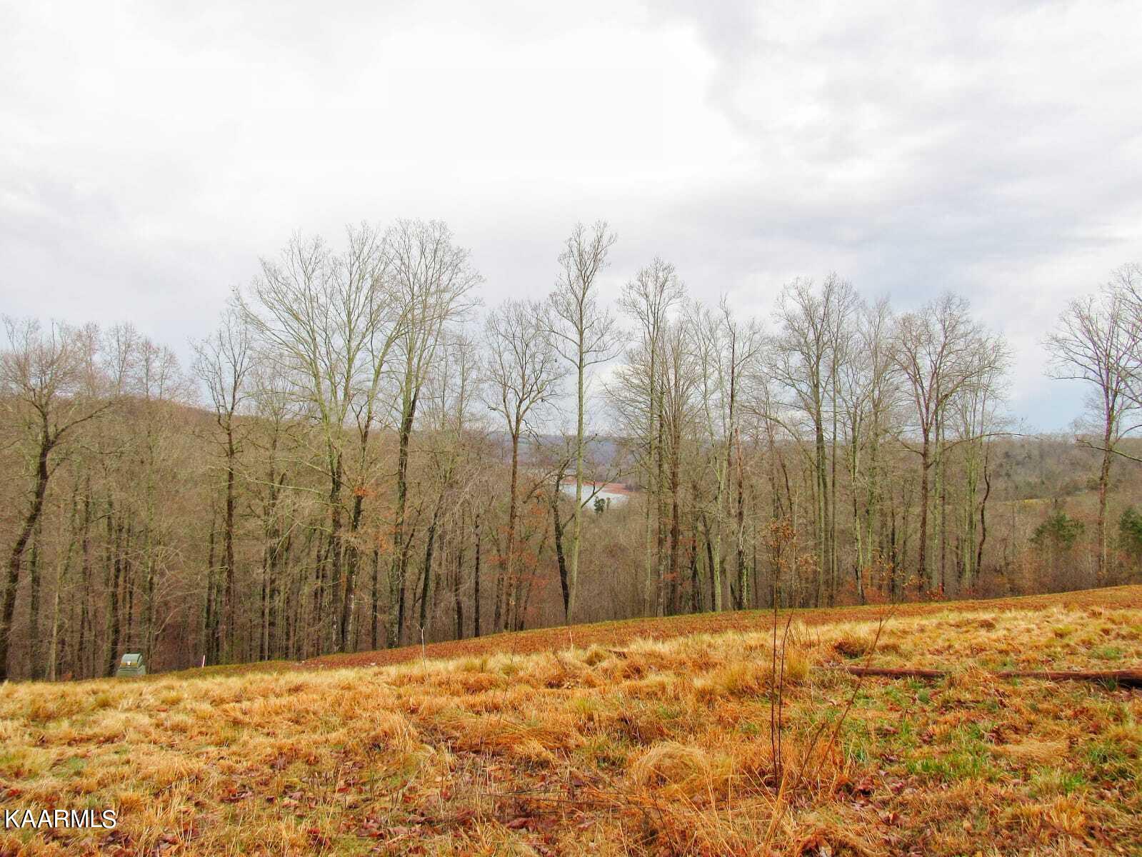 612 Prestige Ridge La Follette, TN 37766 - Photo 8 of 15 Mountain VIews