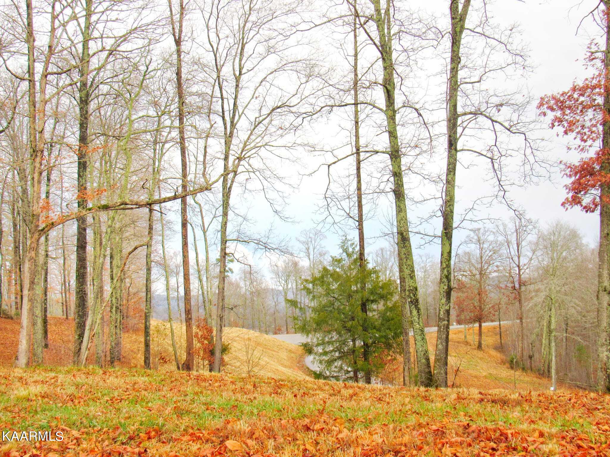 612 Prestige Ridge La Follette, TN 37766 - Photo 10 of 15 Level Build Readt Lot