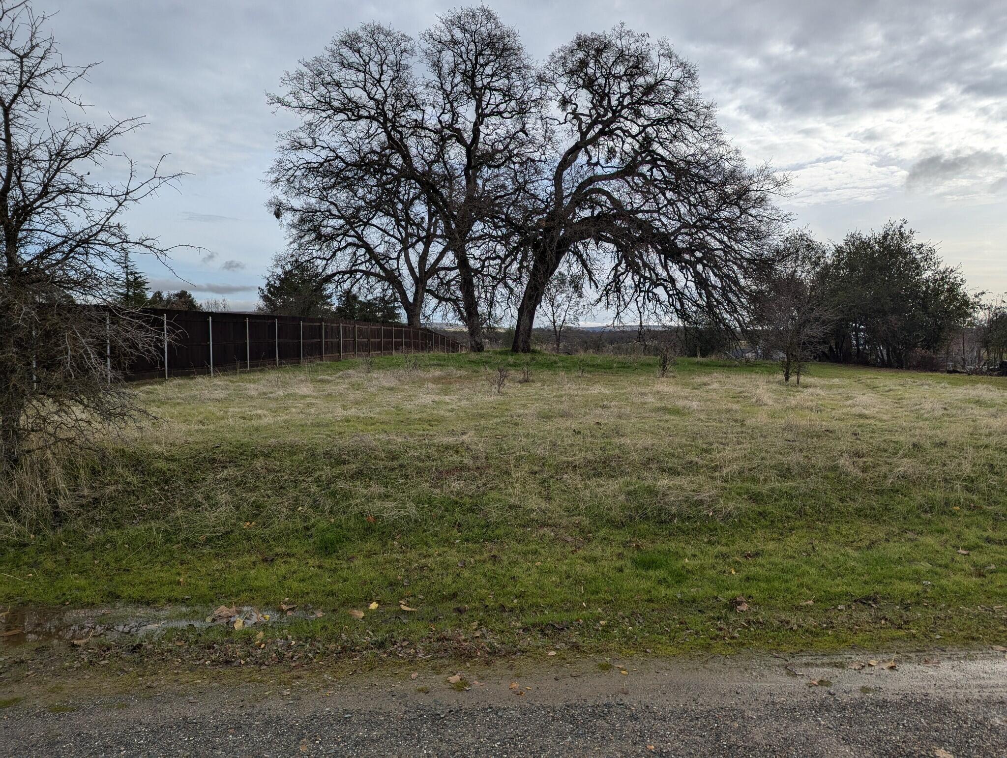 22363 Canta Del Rio Lane Red Bluff, CA 96080 - Photo 12 of 13 a view of a yard with a tree