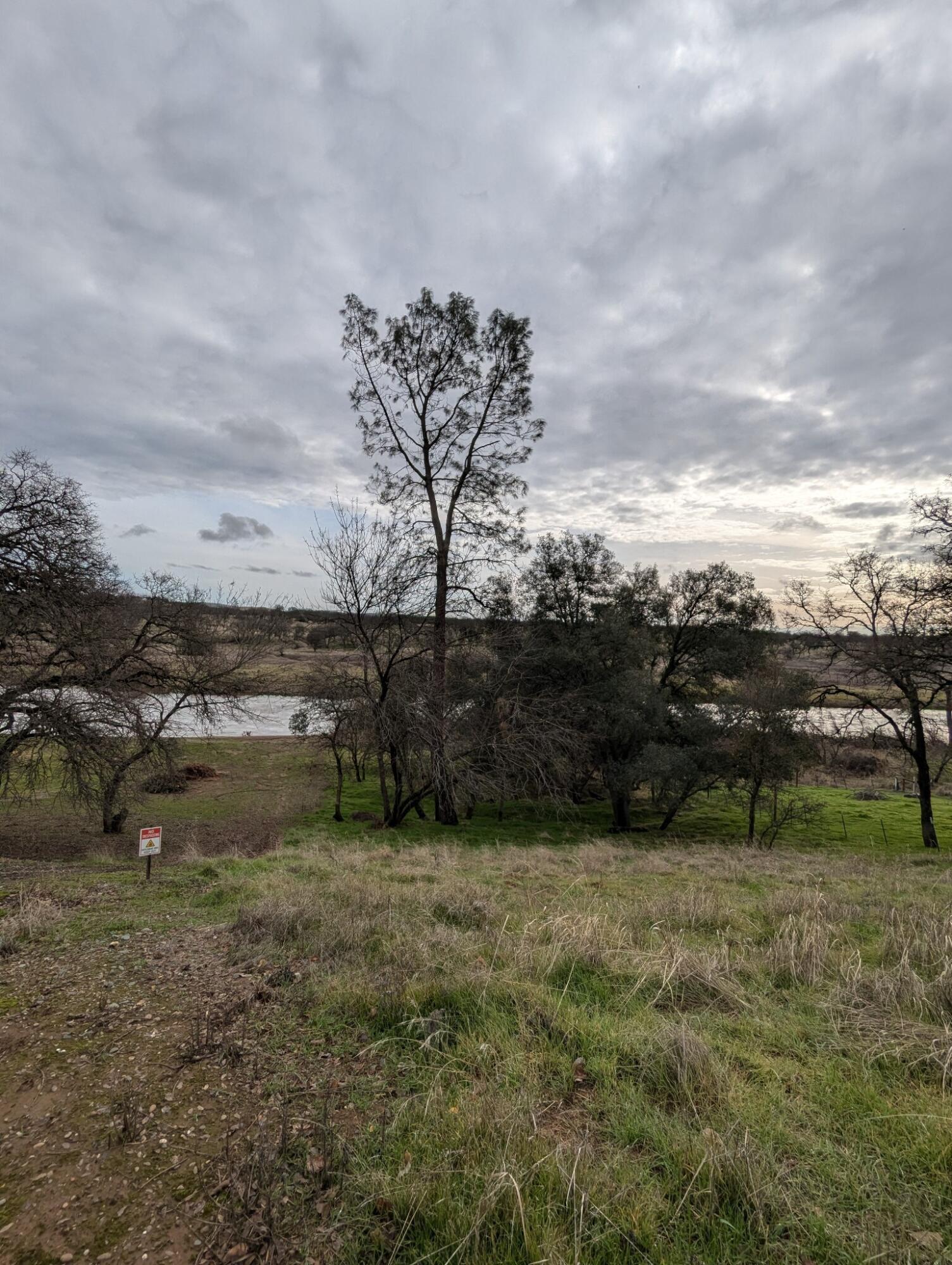 22363 Canta Del Rio Lane Red Bluff, CA 96080 - Photo 2 of 13 a view of a field with an trees