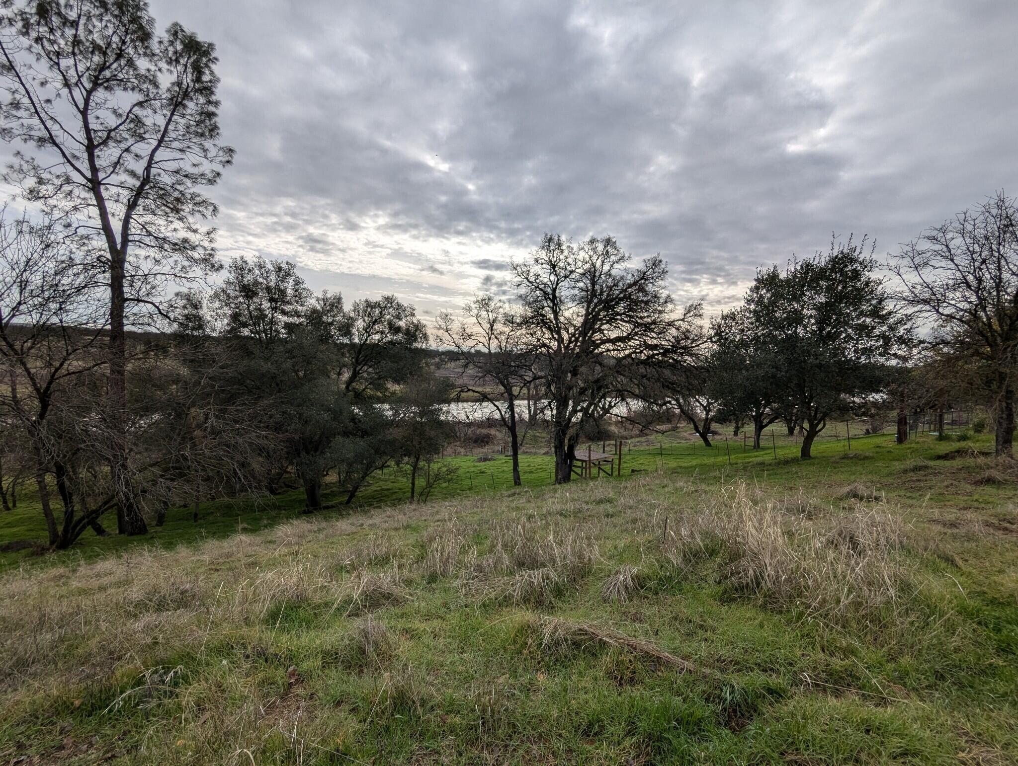 22363 Canta Del Rio Lane Red Bluff, CA 96080 - Photo 4 of 13 a view of a trees in a yard
