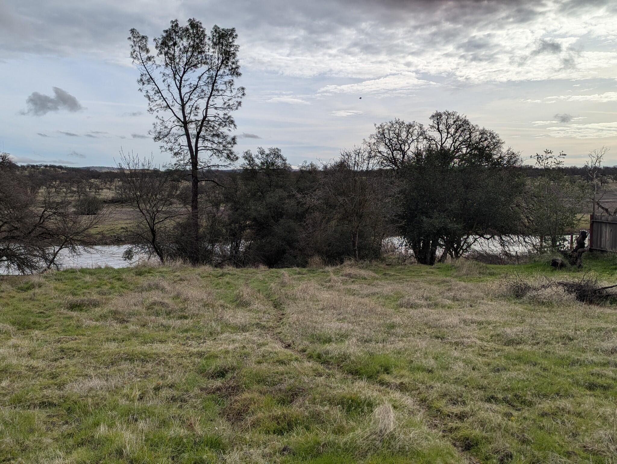 22363 Canta Del Rio Lane Red Bluff, CA 96080 - Photo 6 of 13 a view of outdoor space with trees all around
