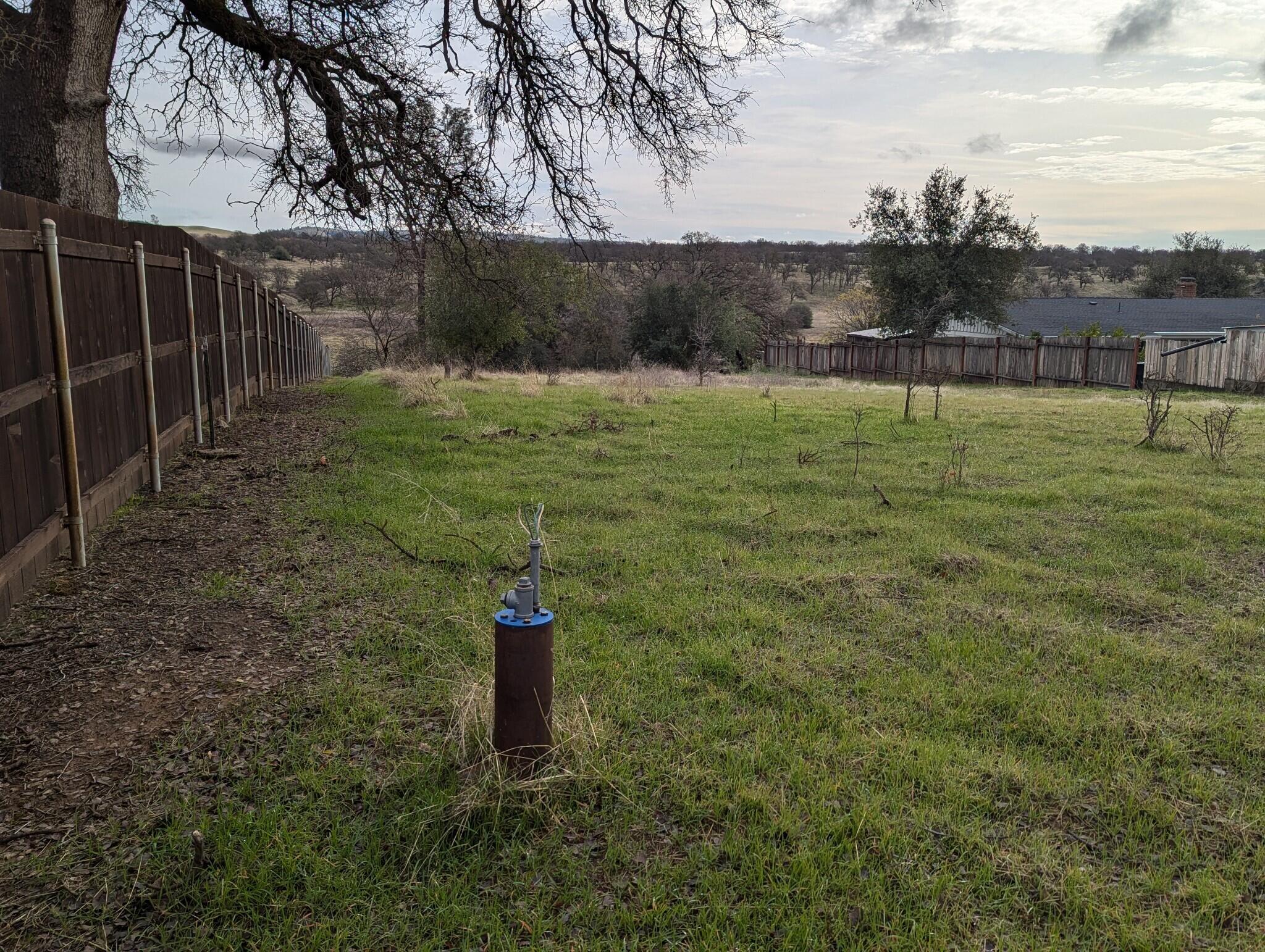 22363 Canta Del Rio Lane Red Bluff, CA 96080 - Photo 7 of 13 a view of a field with a tree in the background