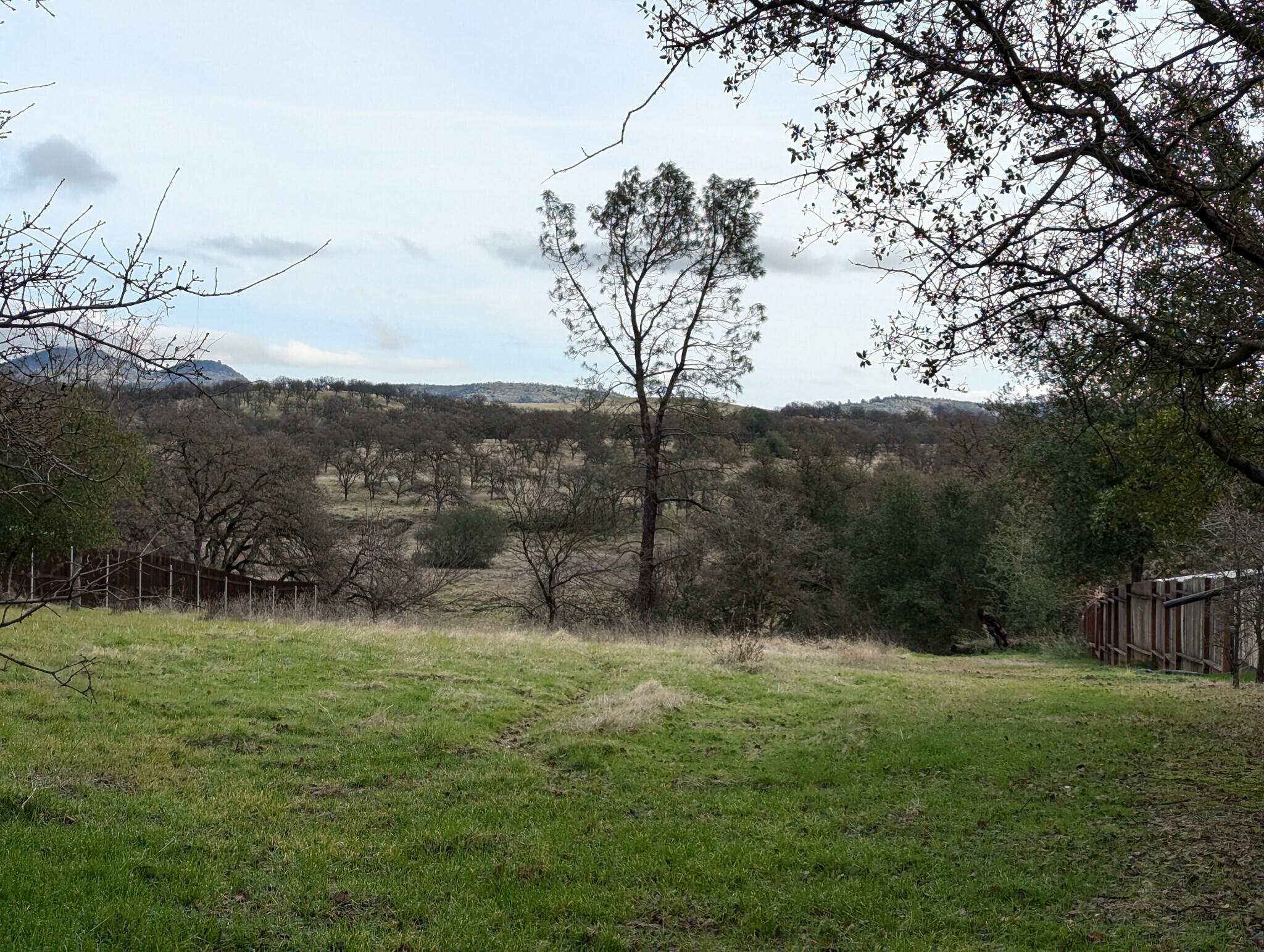 22363 Canta Del Rio Lane Red Bluff, CA 96080 - Photo 9 of 13 a backyard of a house with lots of green space