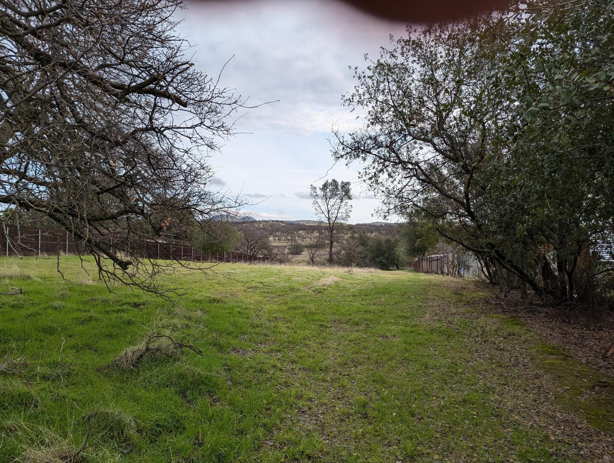 22363 Canta Del Rio Lane Red Bluff, CA 96080 - Photo 10 of 13 a view of outdoor space with green field and trees all around