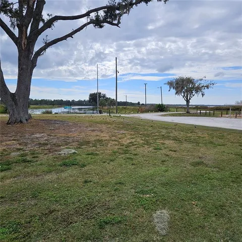 a large body of water with a large trees