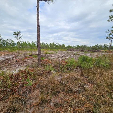 a view of a lake with a mountain in the background