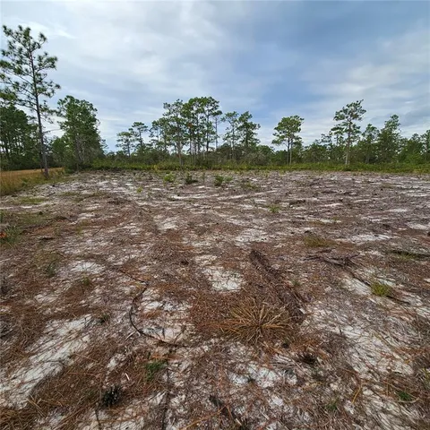a view of a yard with plants and a bench