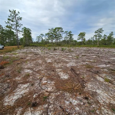 a view of a yard with plants and a bench