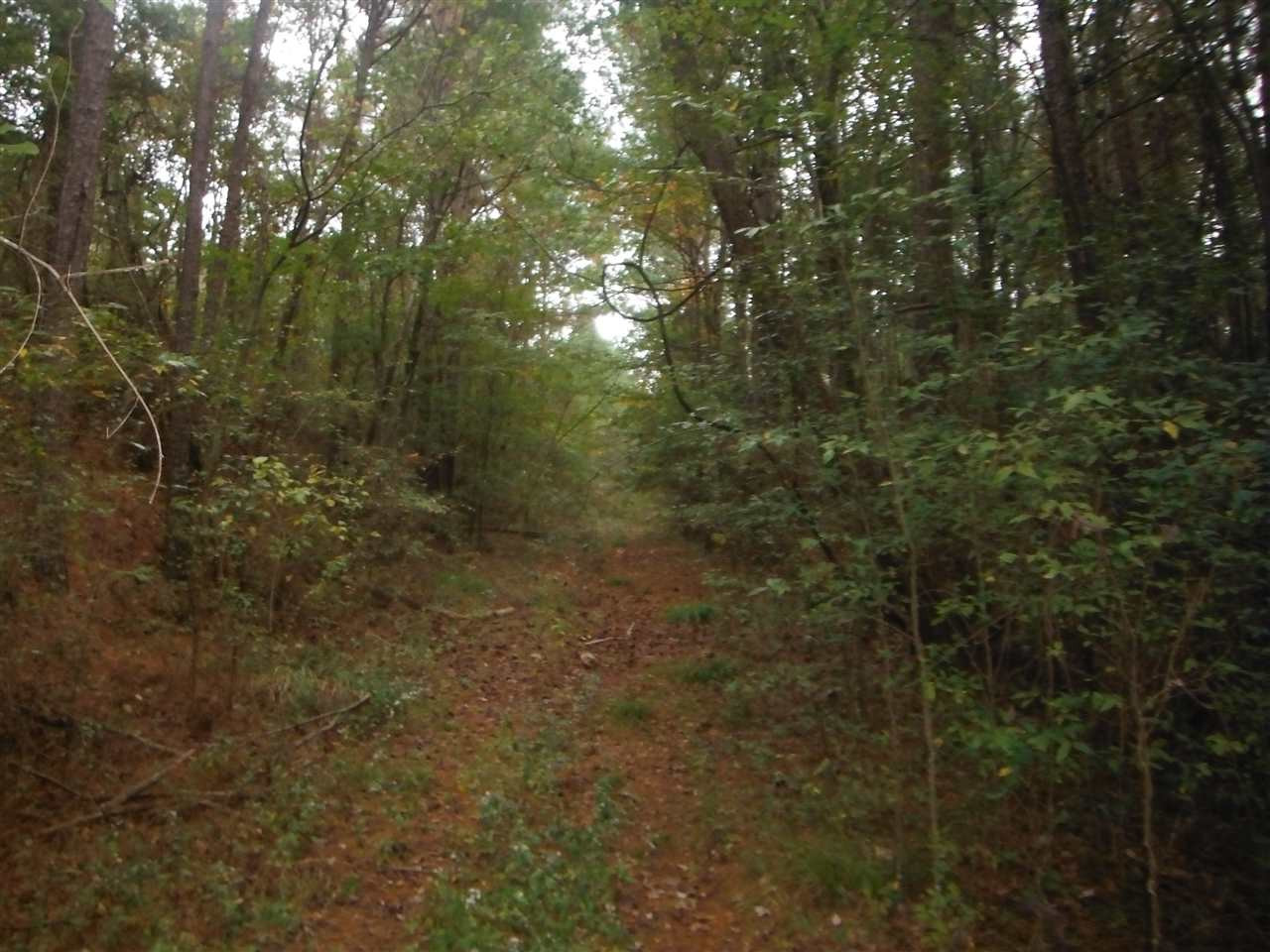 1 Salem Road Walnut Grove, MS 39189 - Photo 1 of 4 Photo 1