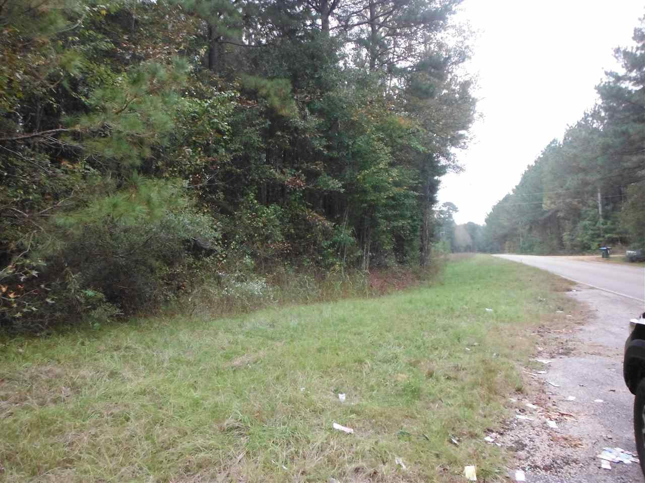 1 Salem Road Walnut Grove, MS 39189 - Photo 3 of 4 Photo 3