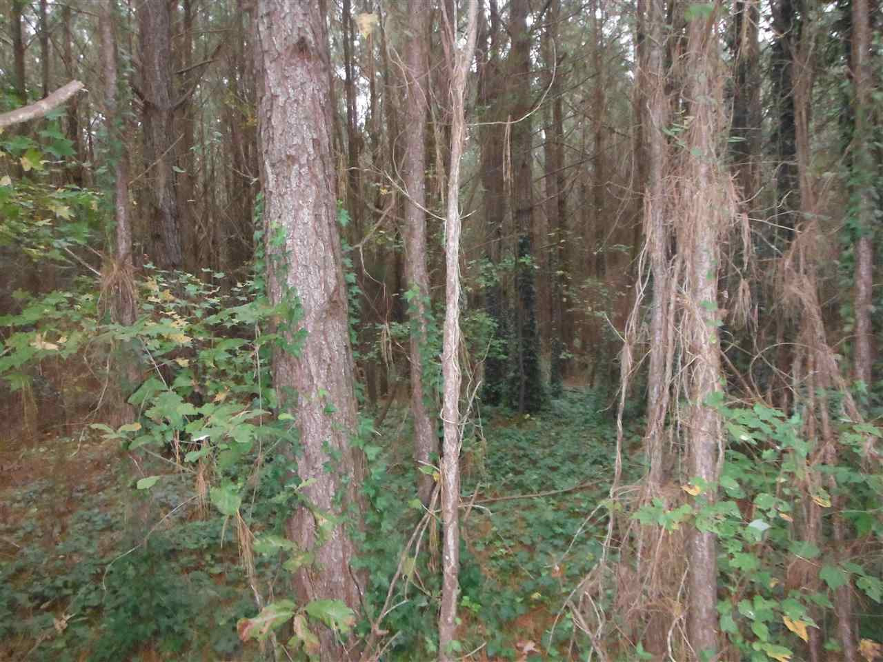 1 Salem Road Walnut Grove, MS 39189 - Photo 4 of 4 Photo 4