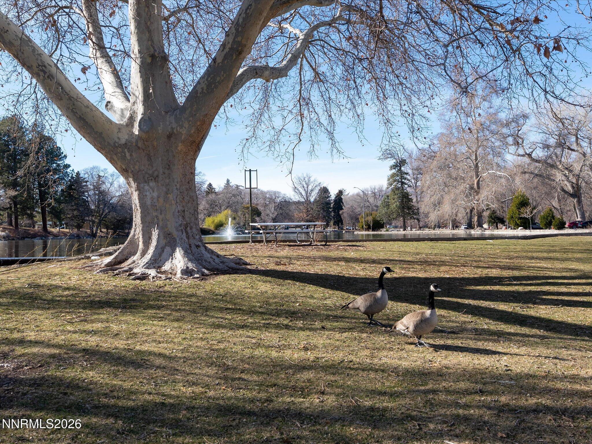 1164 Mayflower Drive Reno, NV 89509 - Photo 57 of 89 073-Parks-141 - Copy