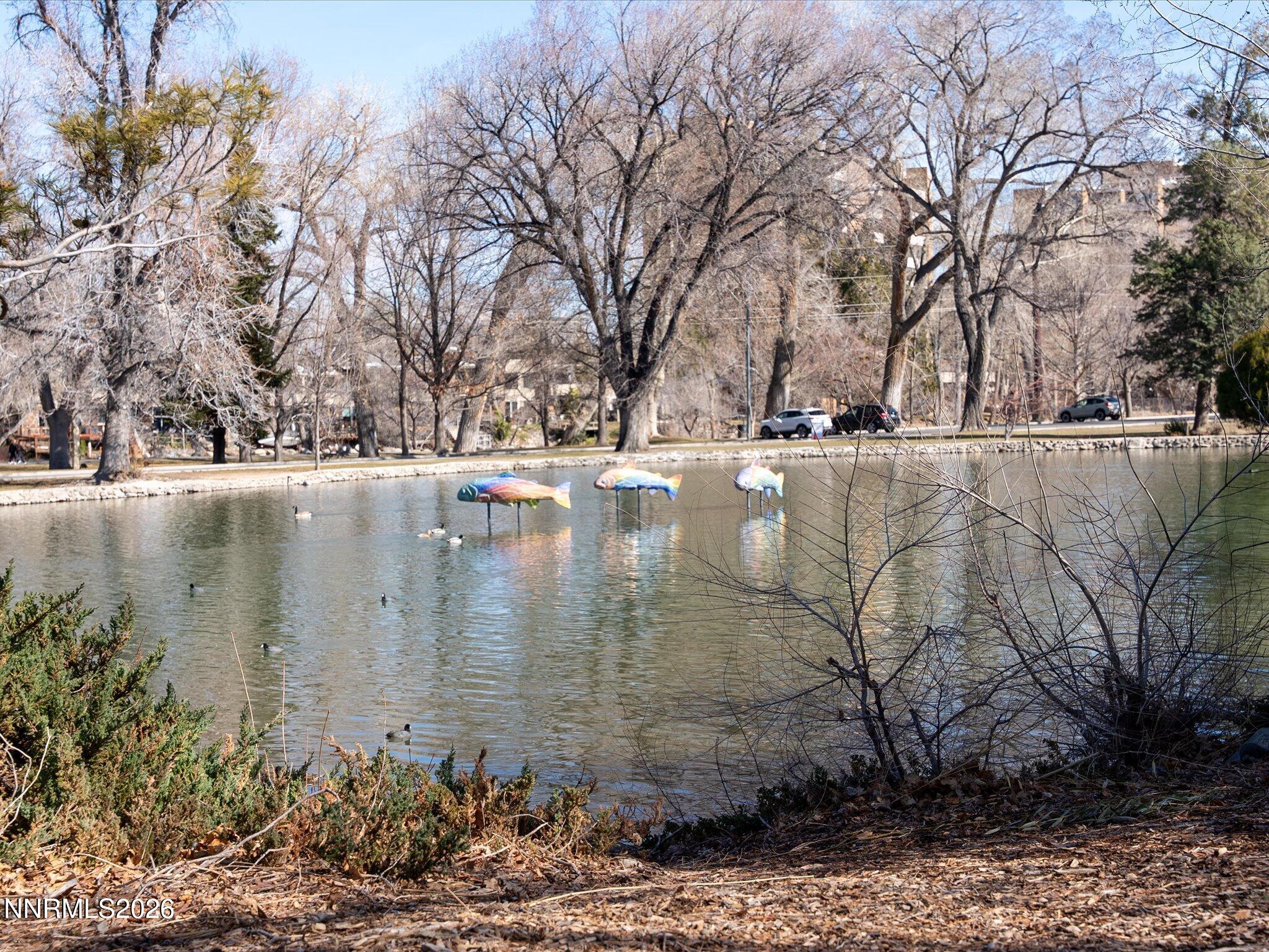 1164 Mayflower Drive Reno, NV 89509 - Photo 60 of 89 076-Parks-110