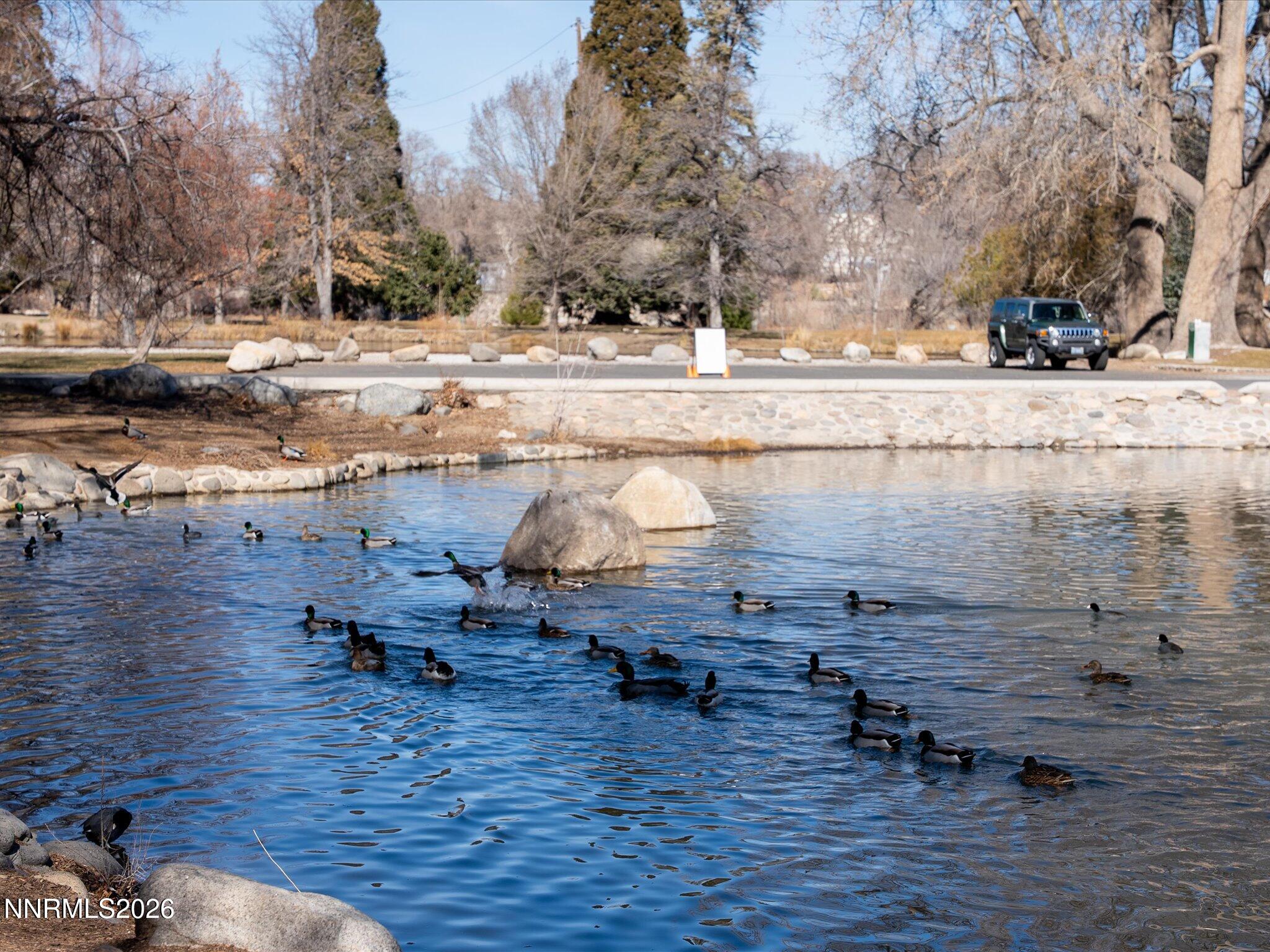 1164 Mayflower Drive Reno, NV 89509 - Photo 61 of 89 077-Parks-111 - Copy