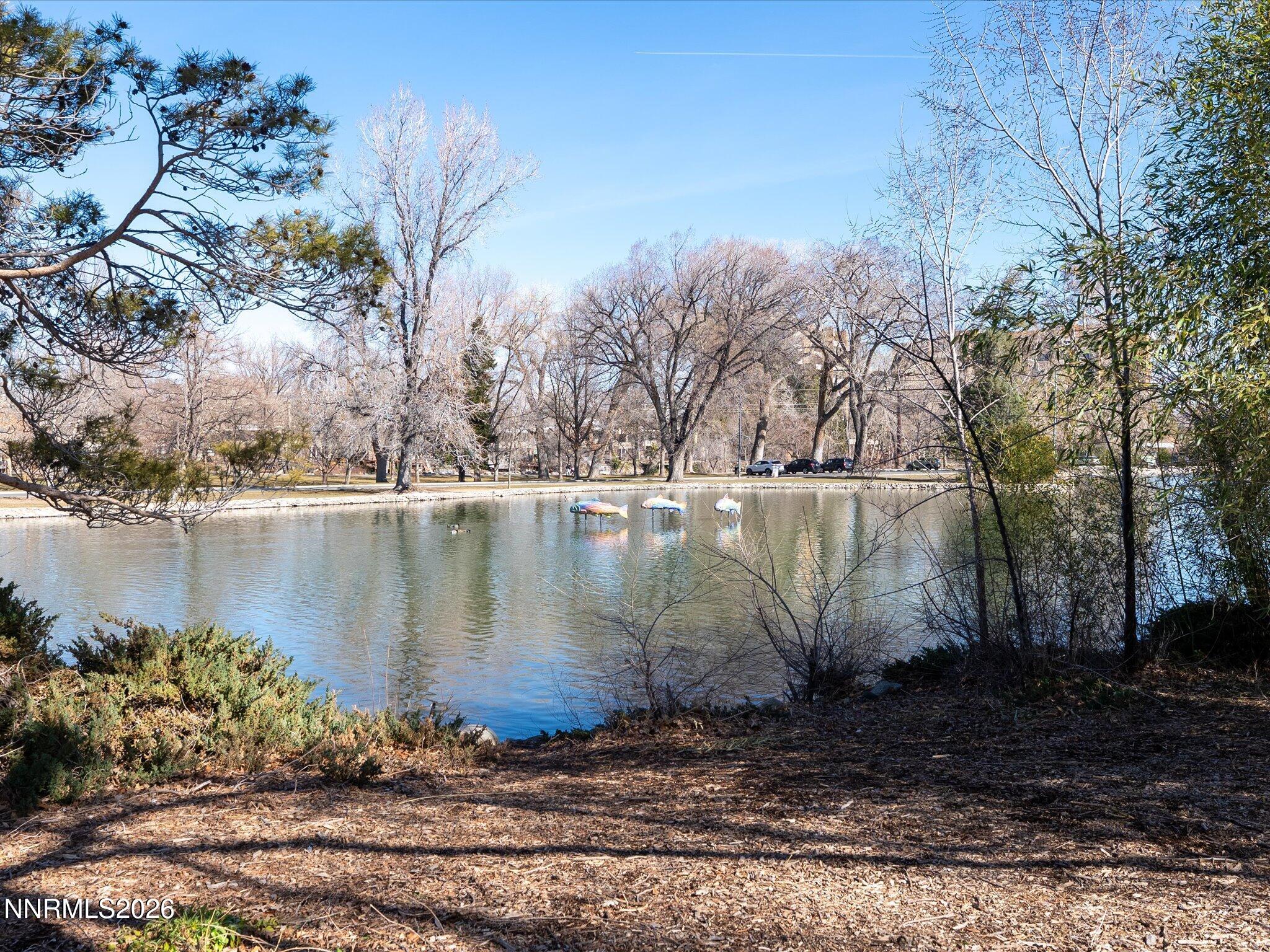 1164 Mayflower Drive Reno, NV 89509 - Photo 67 of 89 085-Parks-119 - Copy