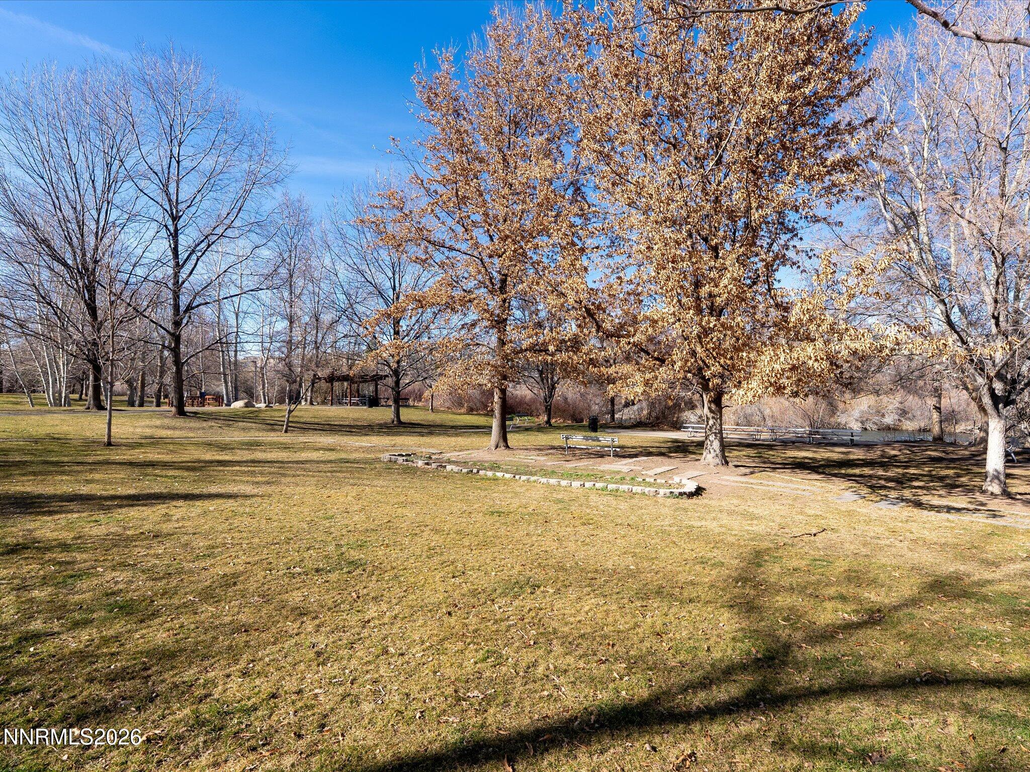 1164 Mayflower Drive Reno, NV 89509 - Photo 77 of 89 a view of yard with large trees