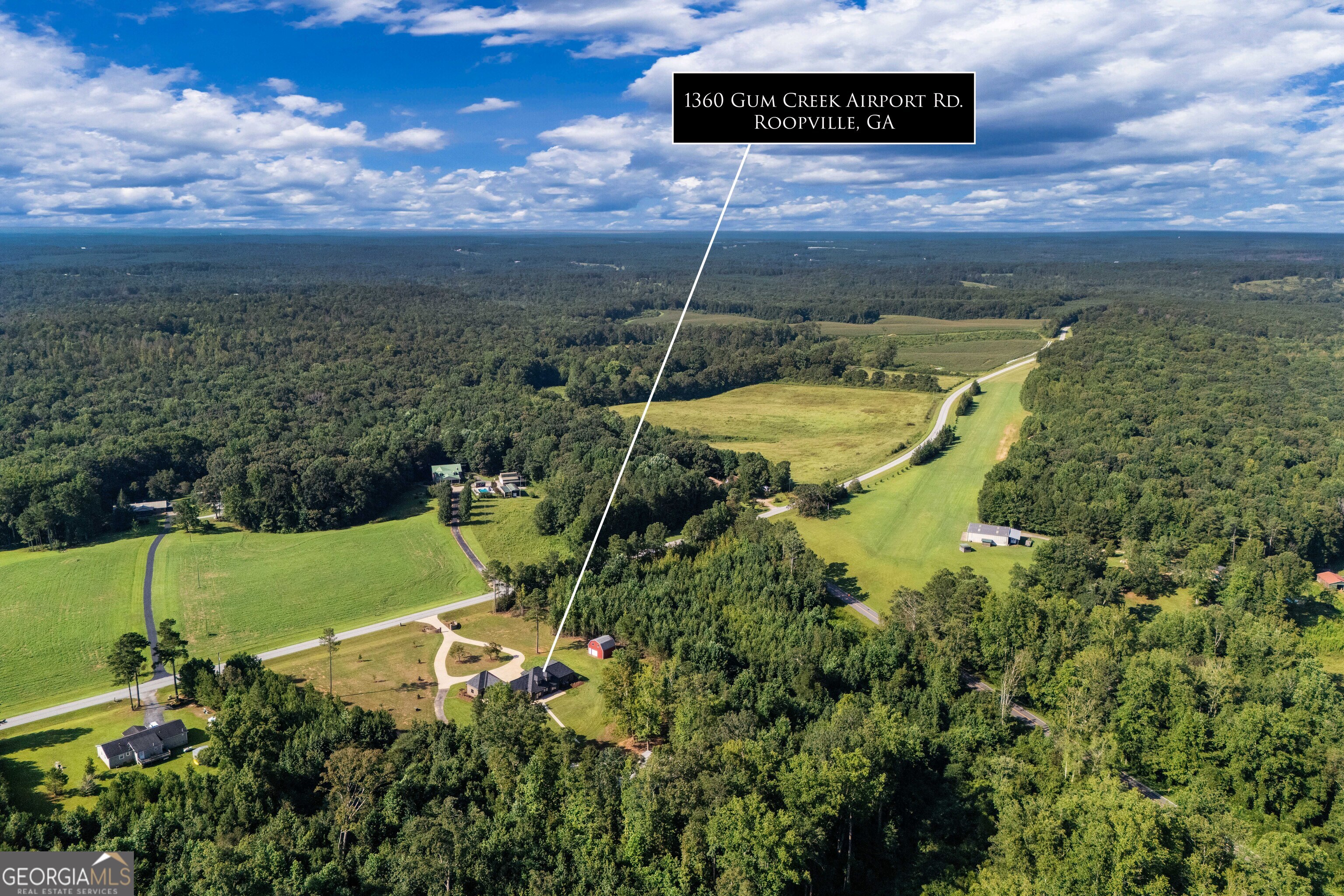 1360 Gum Creek Airport Road Roopville, GA 30170 - Photo 6 of 67 Gallery Image 6