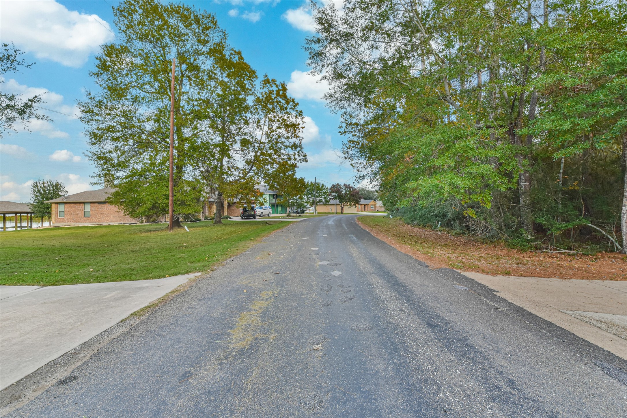 0 Lakeway Drive Trinity, TX 75862 - Photo 11 of 21 a view of a yard with potted plants and large trees