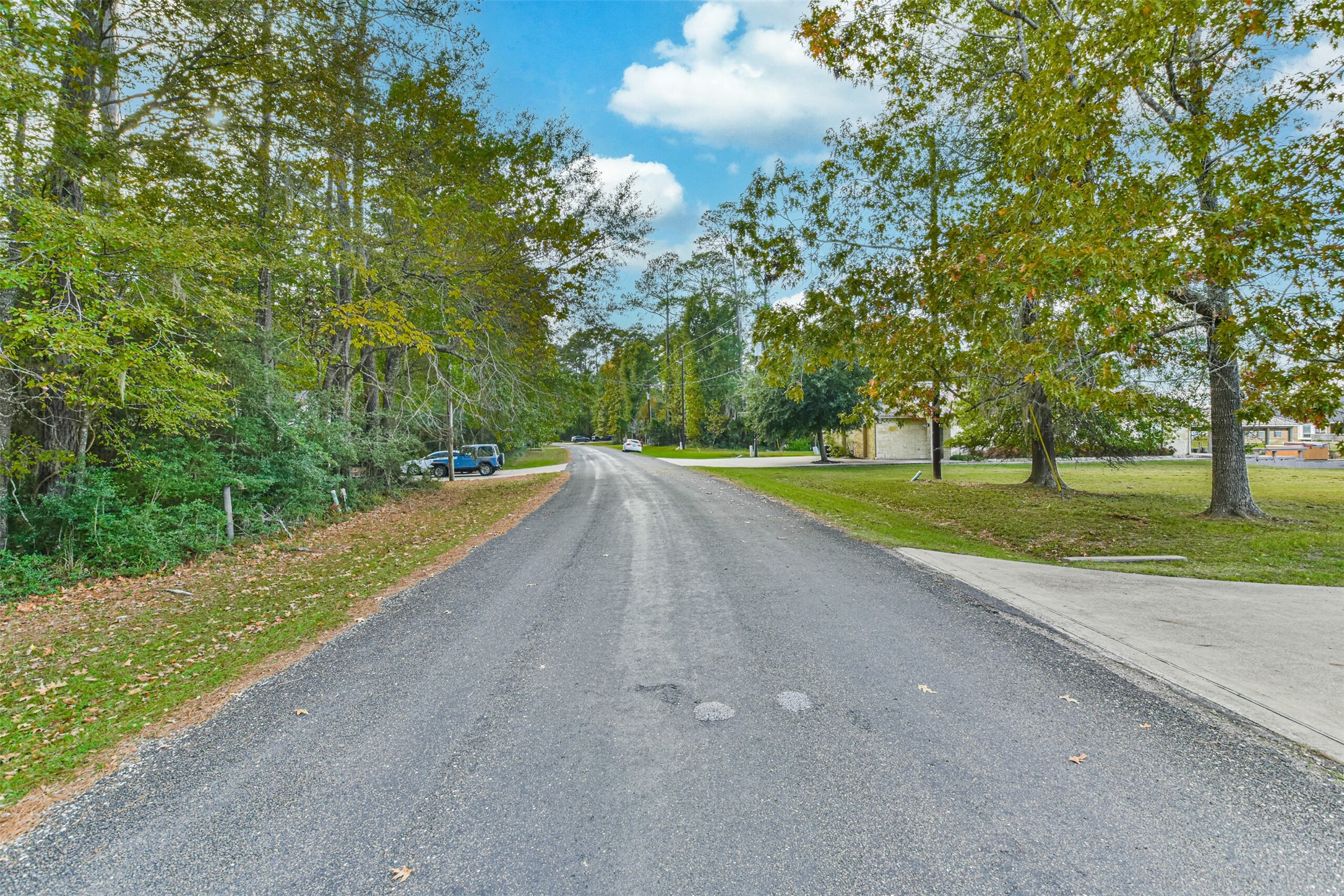 0 Lakeway Drive Trinity, TX 75862 - Photo 9 of 21 a view of a park with large trees