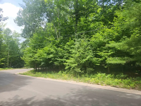 $60,000 | 0 Birch View Trail, Lake Ann, MI 49650
