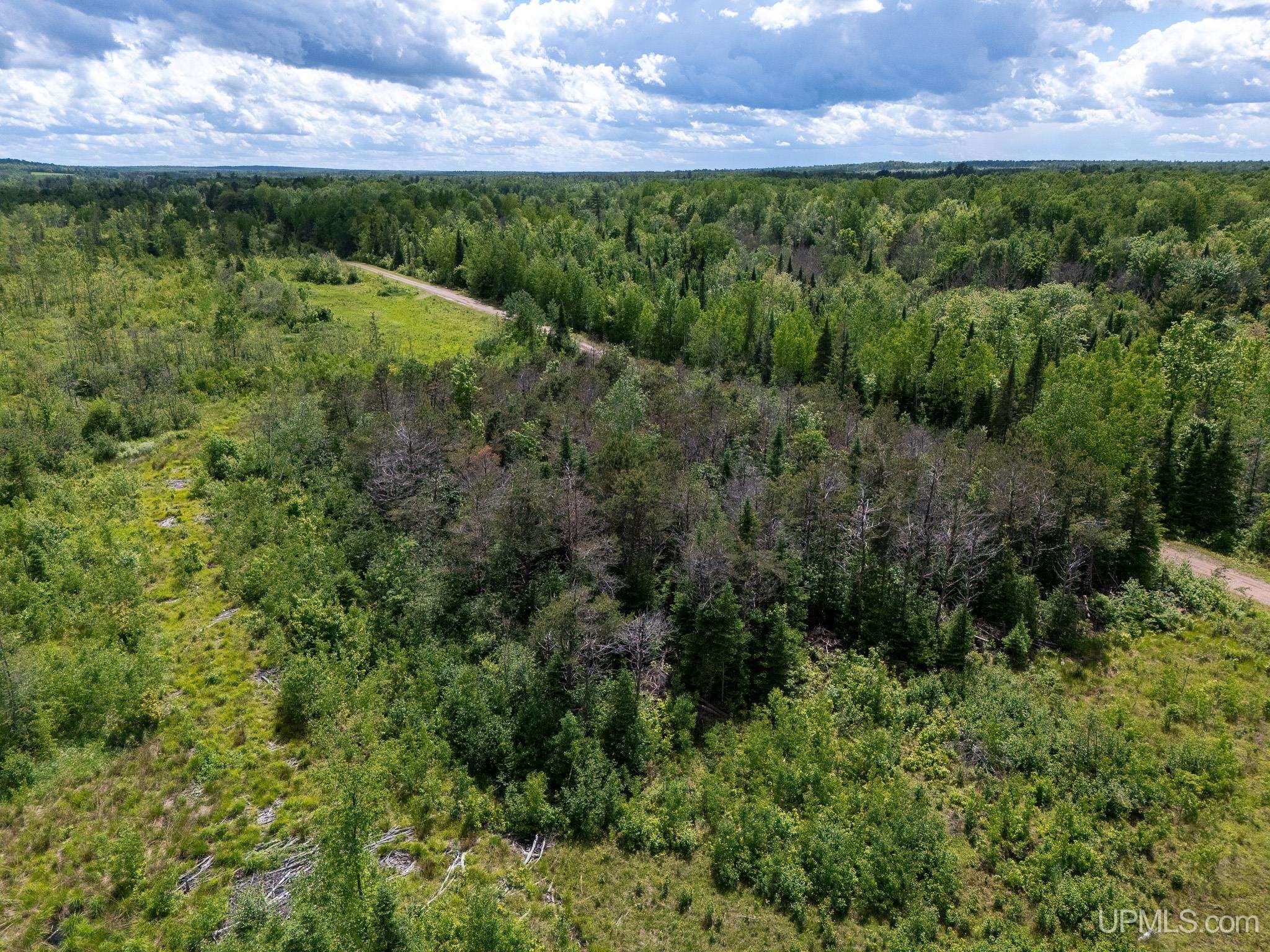 15772 St Collins Road Bruce Crossing, MI 49912 - Photo 36 of 36