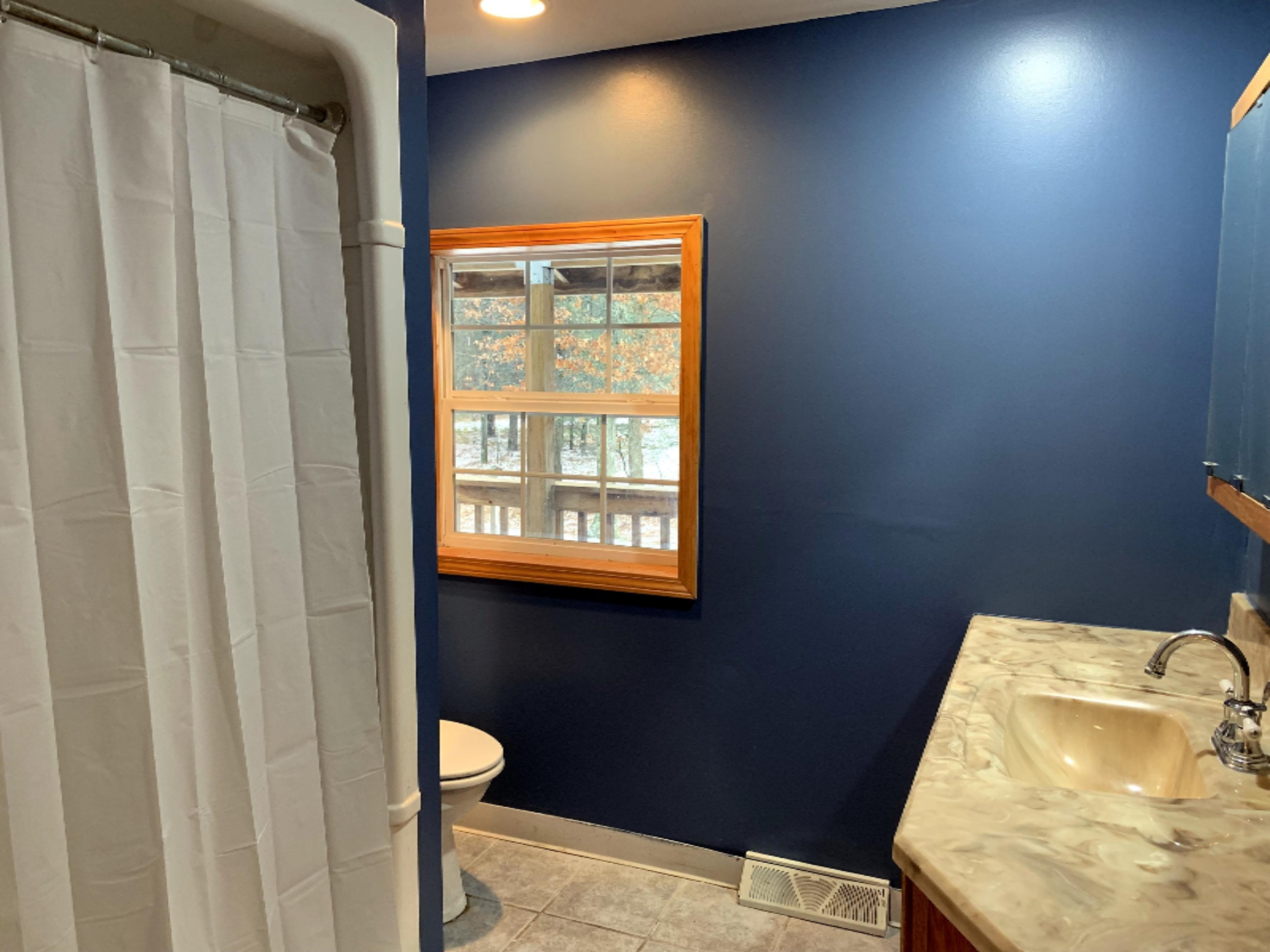 4165 Skeels Road Holton, MI 49425 - Photo 11 of 17 Master Bath