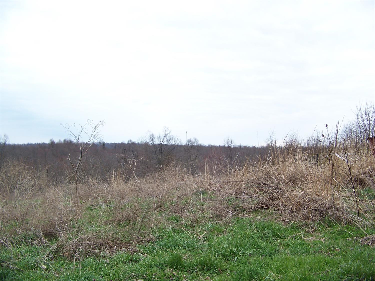 740 Horse Ridge Road Stanford, KY 40484 - Photo 4 of 22 Listing Photo