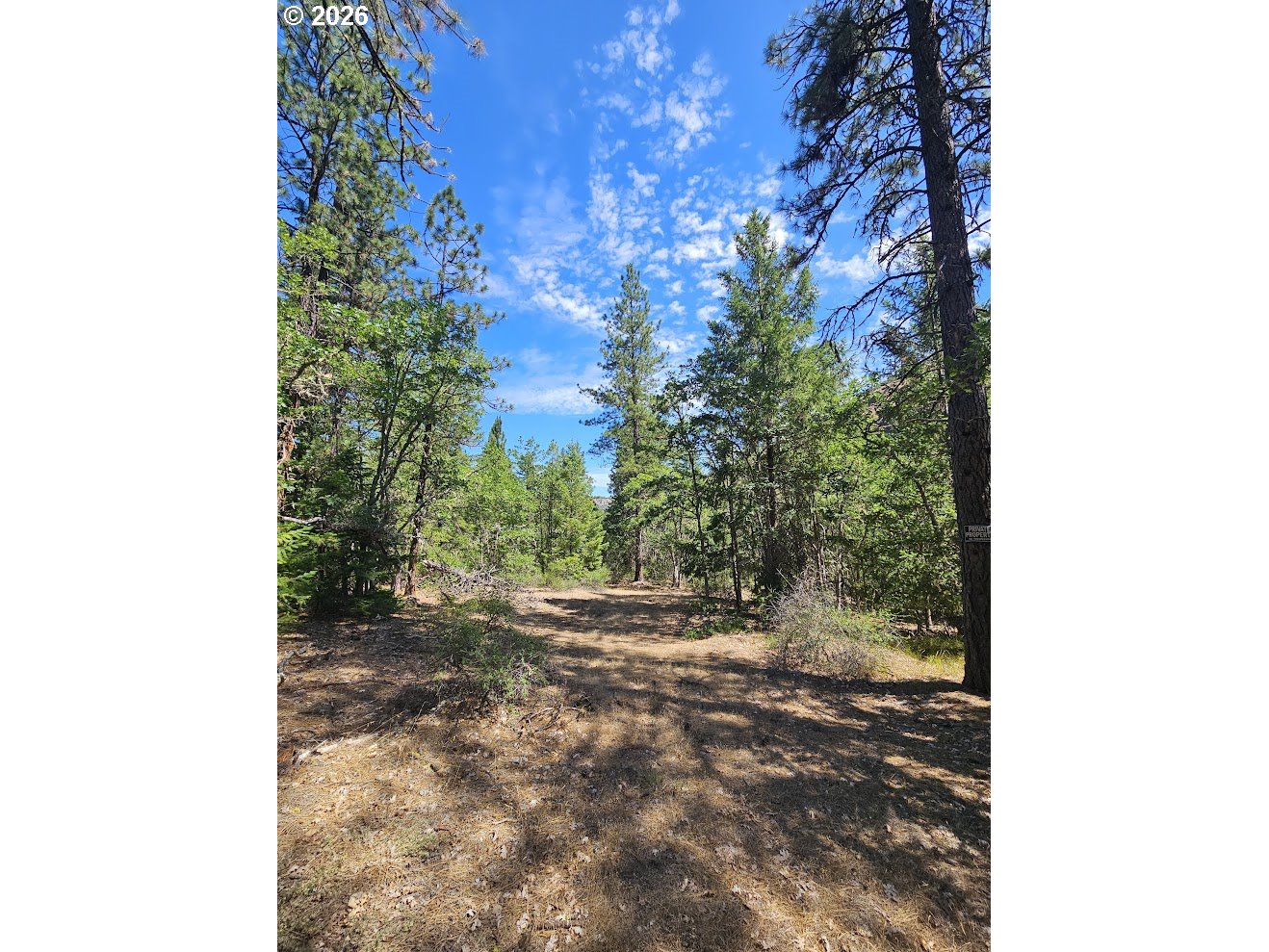 Lovers Lane Lyle, WA 98635 - Photo 13 of 25