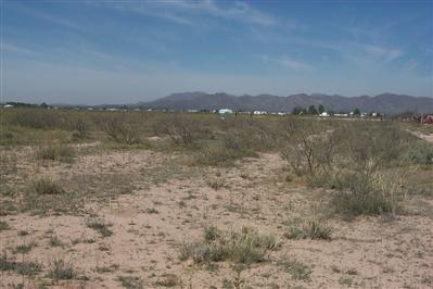 3758 North Joe Hines Road Willcox, AZ 85643 - Photo 5 of 6