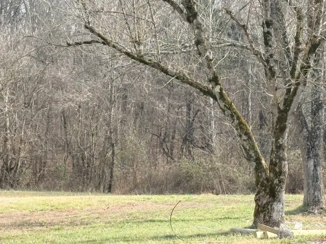 $299,999 | 1019 Keytown Road, Portland, TN 37148