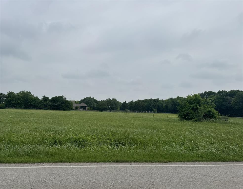 2509 Grace Lane Lancaster, TX 75146 - Photo 3 of 6 Expansive green field bordered by mature trees