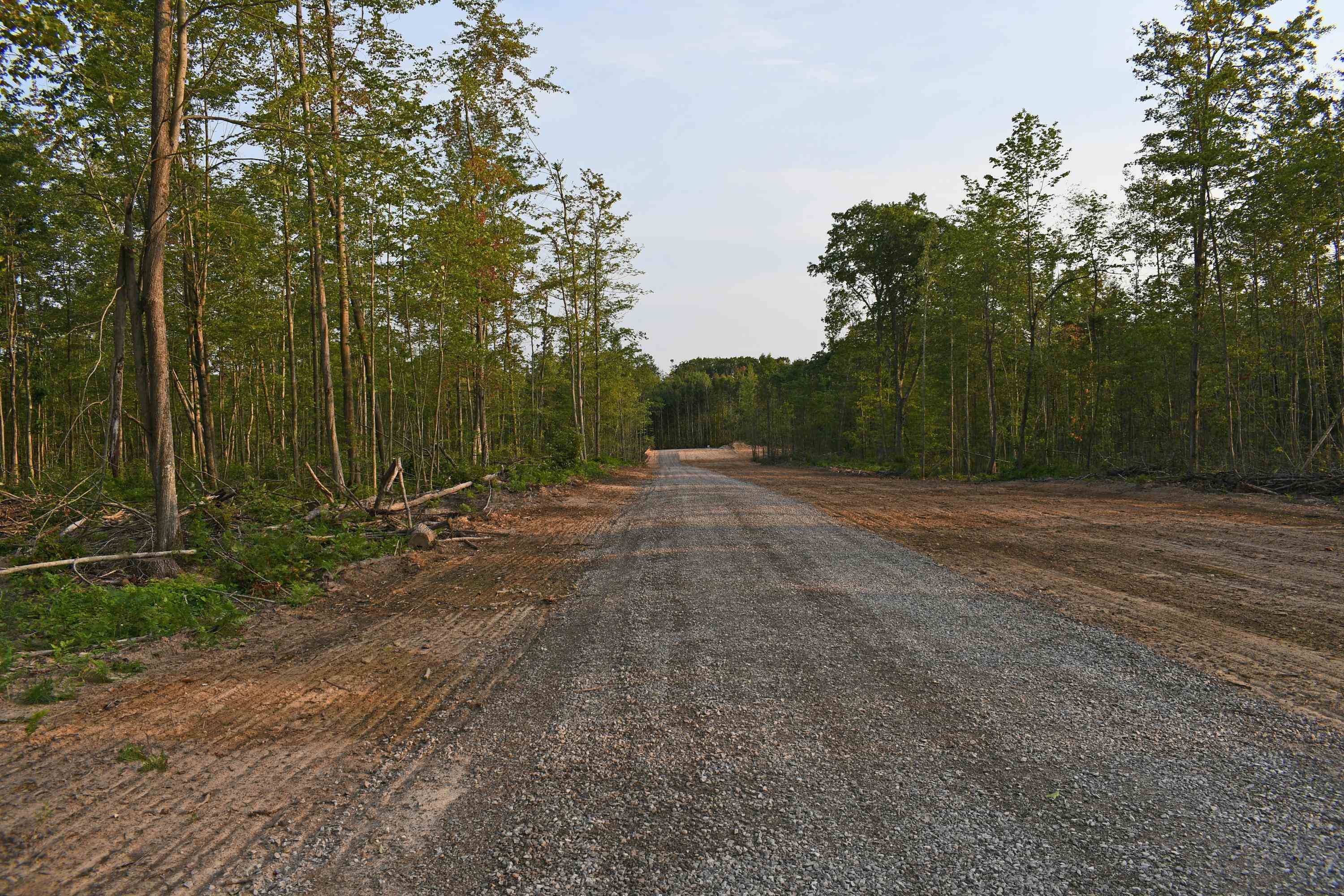 Parcel J Parcel J Road Mikado, MI 48745 - Photo 6 of 6