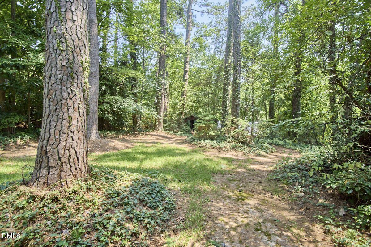 3409 Cherry Lane Raleigh, NC 27607 - Photo 35 of 36 35 - Backyard