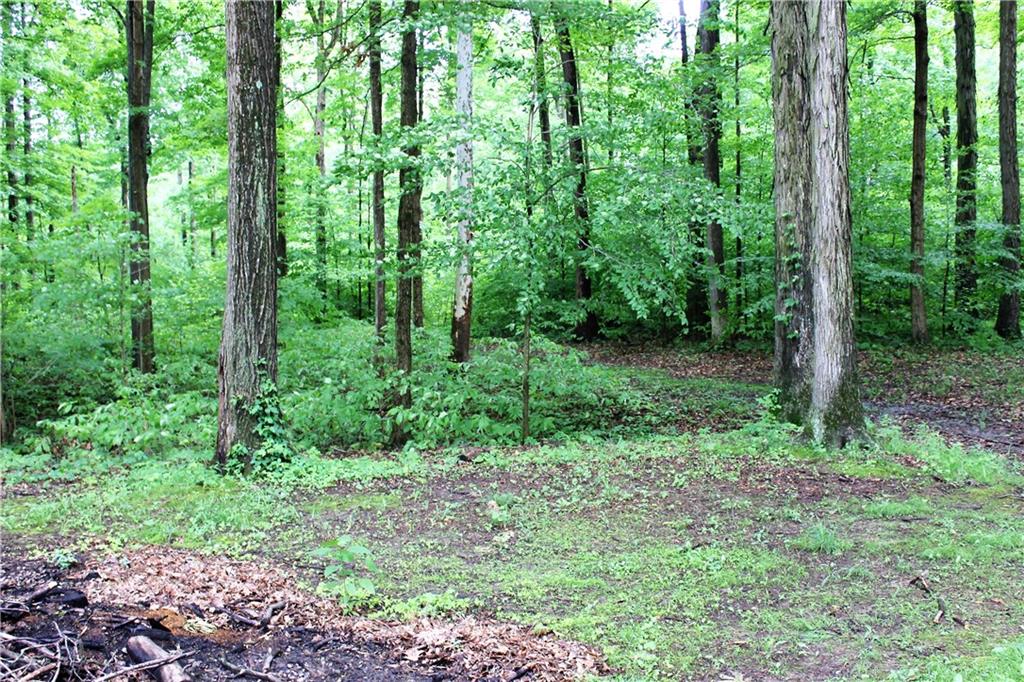 4024 North Fidler Road Gosport, IN 47433 - Photo 9 of 37 Gallery Image 9