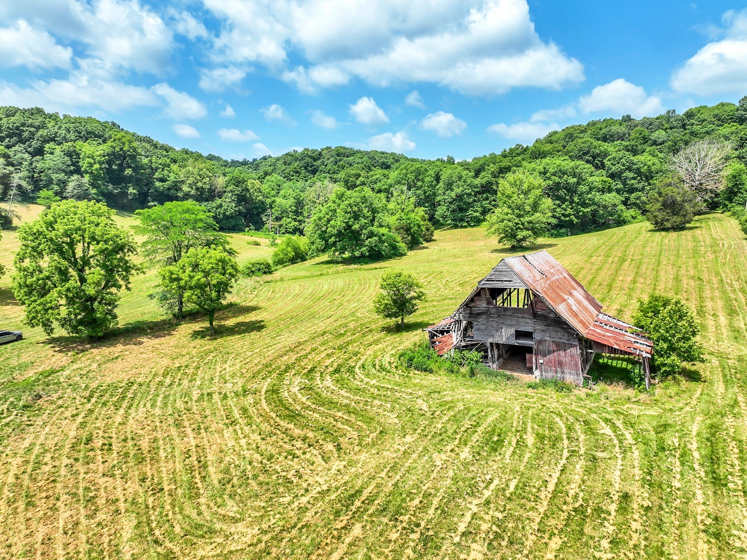 5185 Old Harding Road Fairview, TN 37062 - Photo 15 of 42
