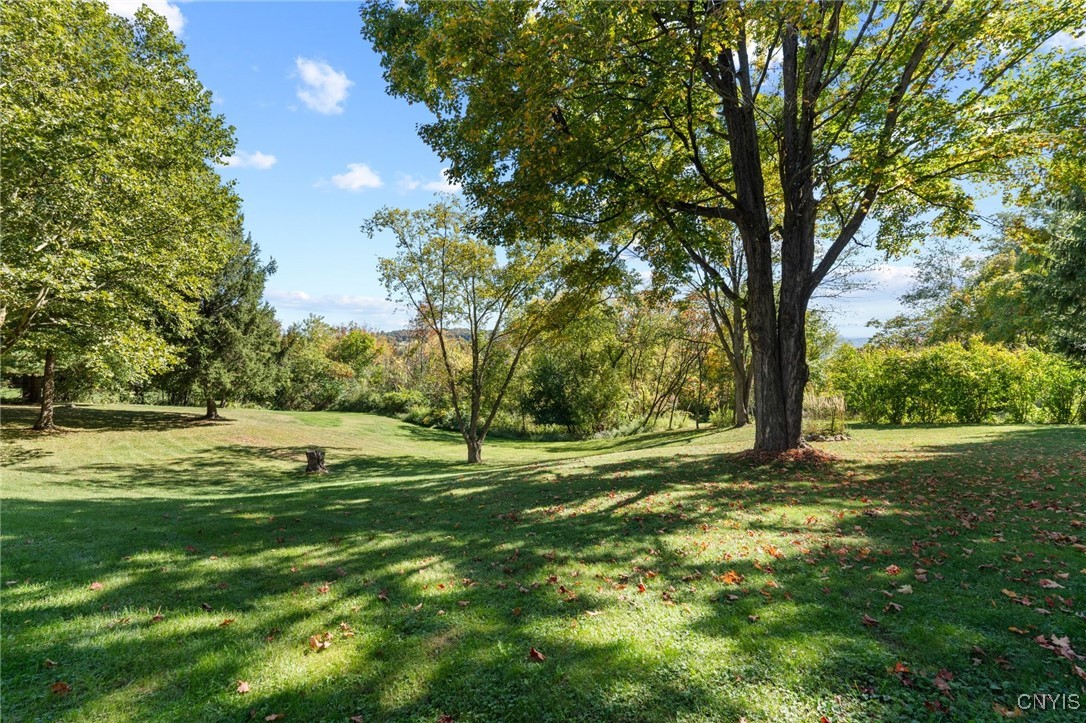 5457 Amidon Road LaFayette, NY 13084 - Photo 39 of 50 Gorgeous backyard