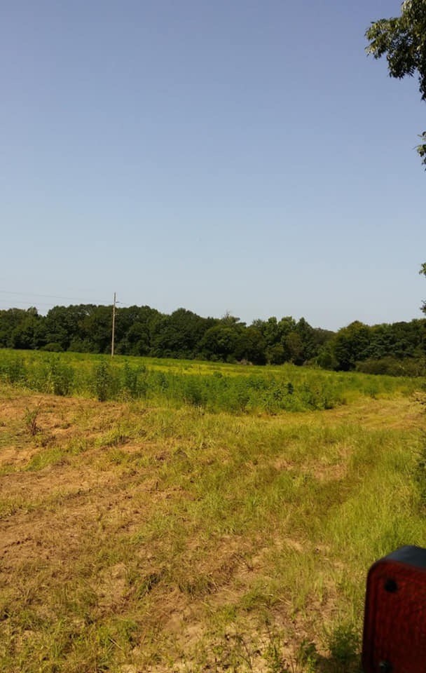 0 Johnny Murphy Road Dothan, AL 36301 - Photo 4 of 9
