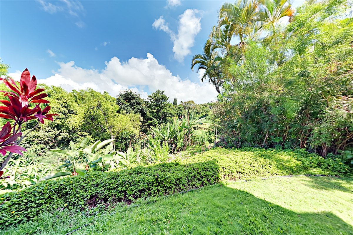 5451 Ka Haku Road, Unit 24 Princeville, HI 96722 - Photo 23 of 25