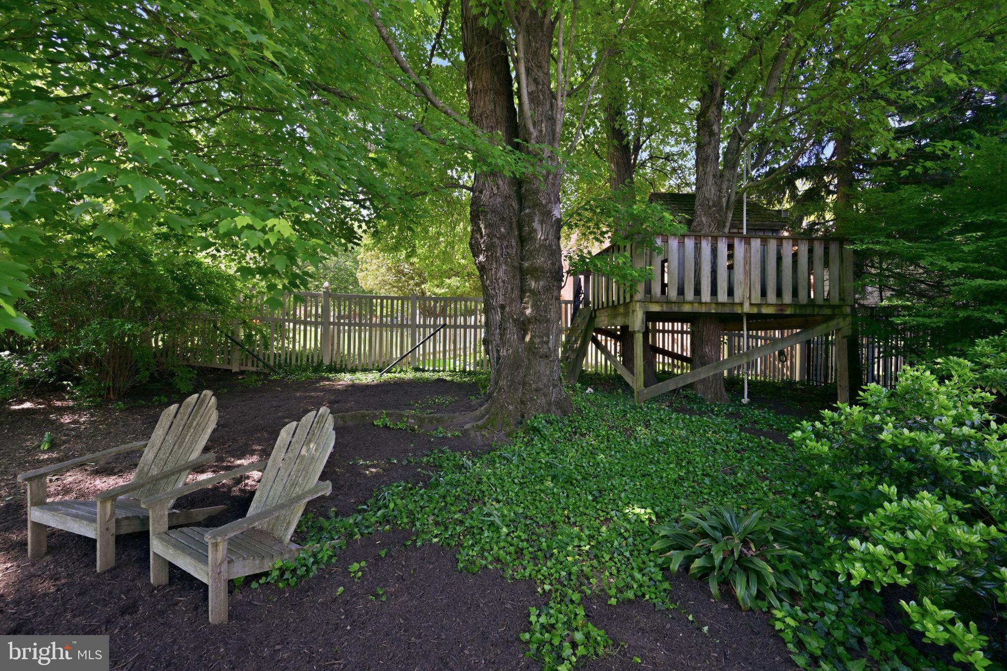 2800 Greenvale Street Chevy Chase, MD 20815 - Photo 63 of 77 Tree House