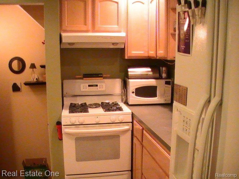 835 Drexel Street Dearborn, MI 48128 - Photo 6 of 24 835 Drexel 028