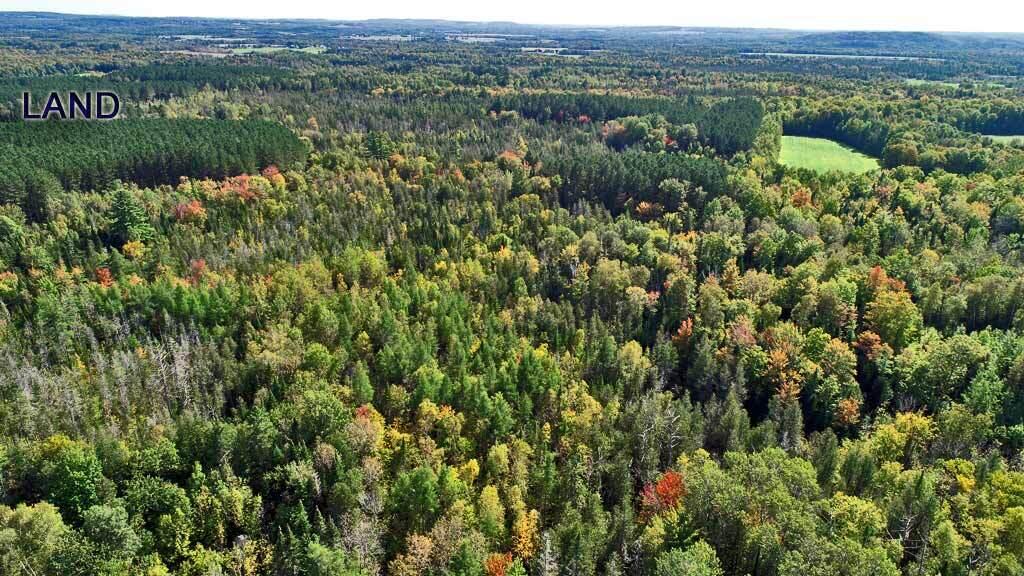 Lot 5.1 Off Ludlow Road Houlton, ME 04730 - Photo 28 of 43 land-ludlow-aroostook-me