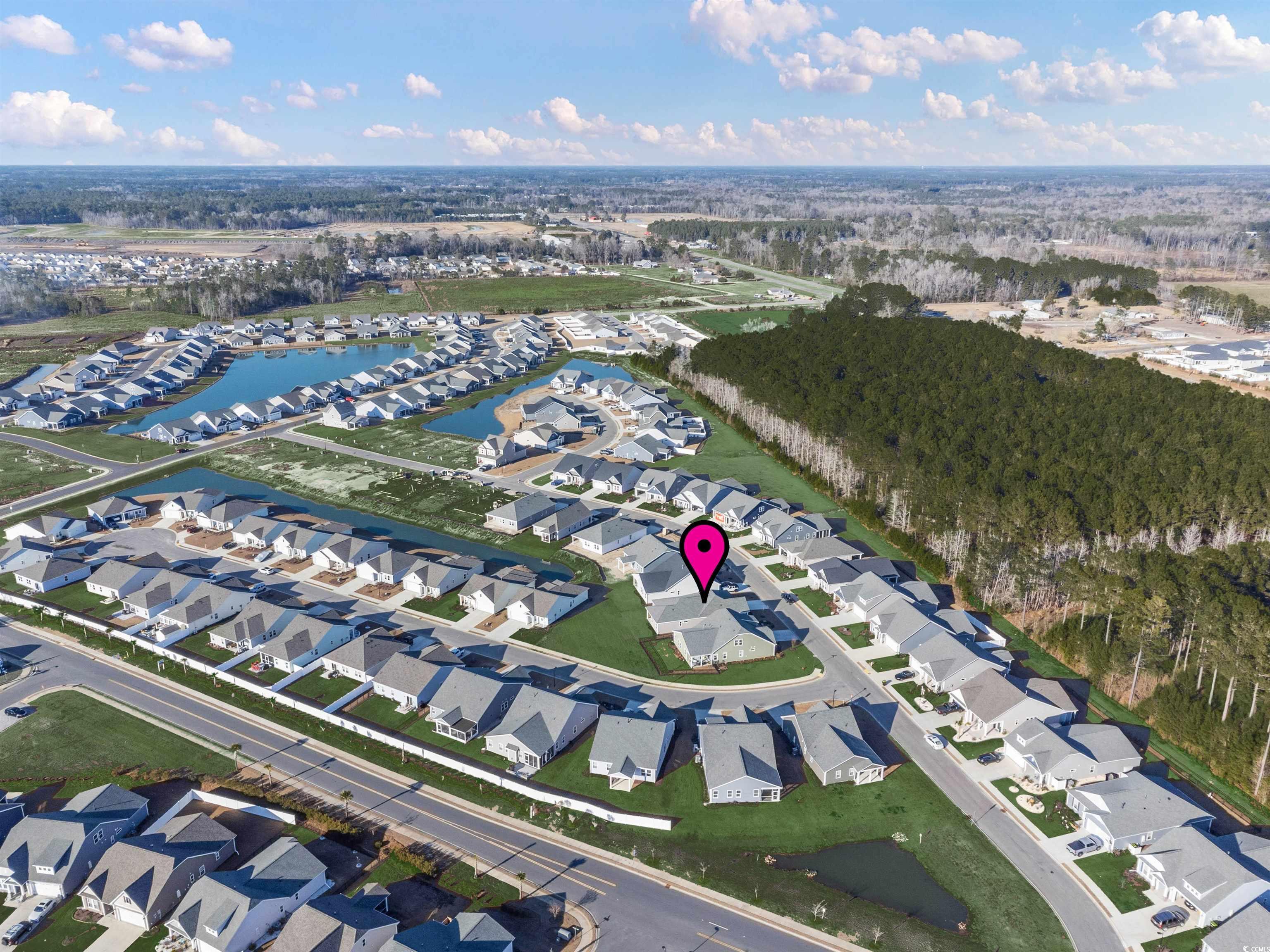 2162 Gooseberry Way Longs, SC 29568 - Photo 6 of 34