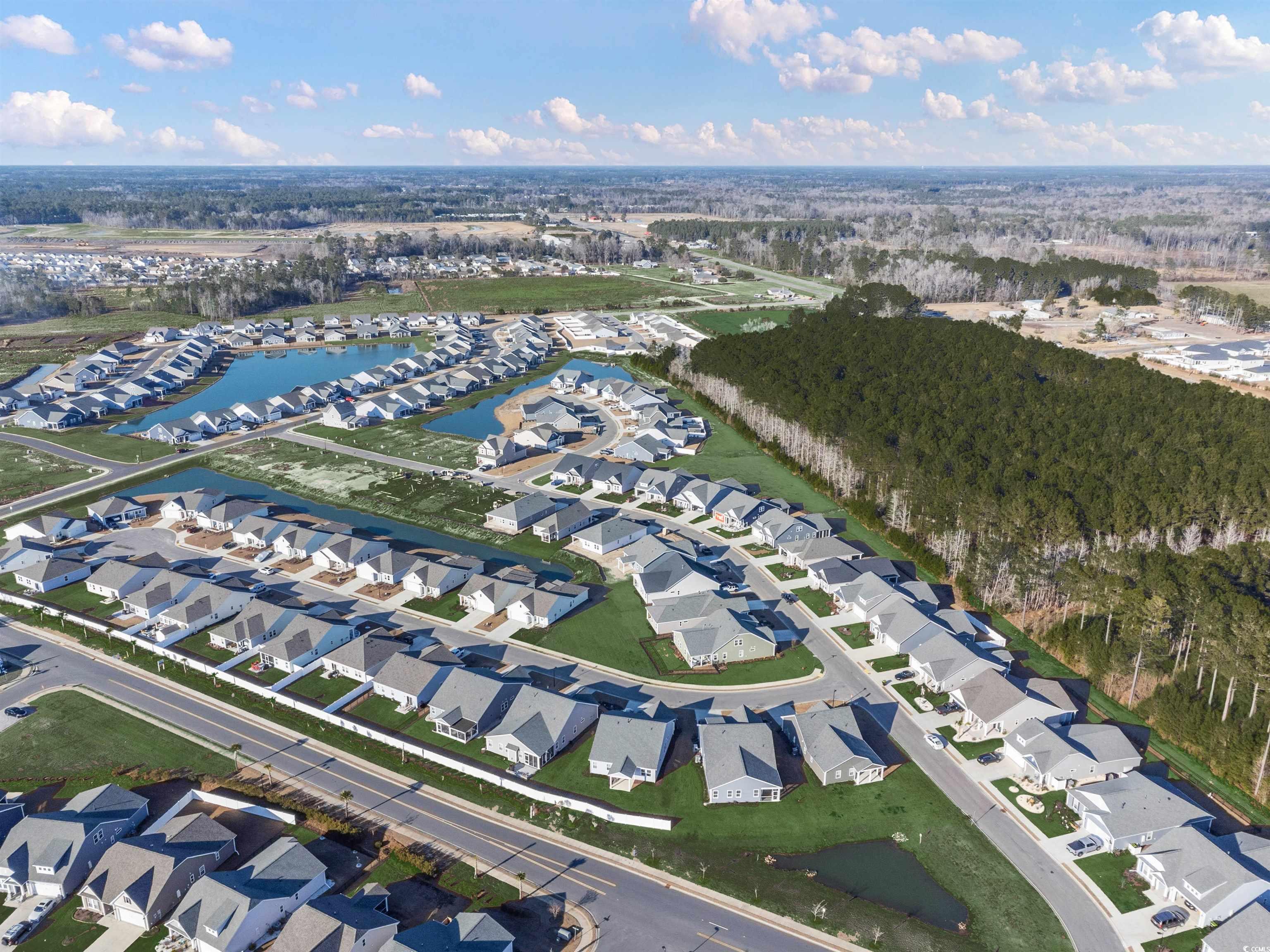 2162 Gooseberry Way Longs, SC 29568 - Photo 7 of 34