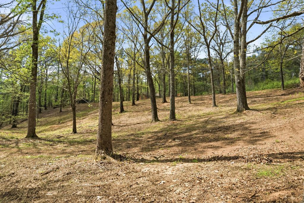 5606 West Chapel Hill Road Douglasville, GA 30135 - Photo 37 of 39