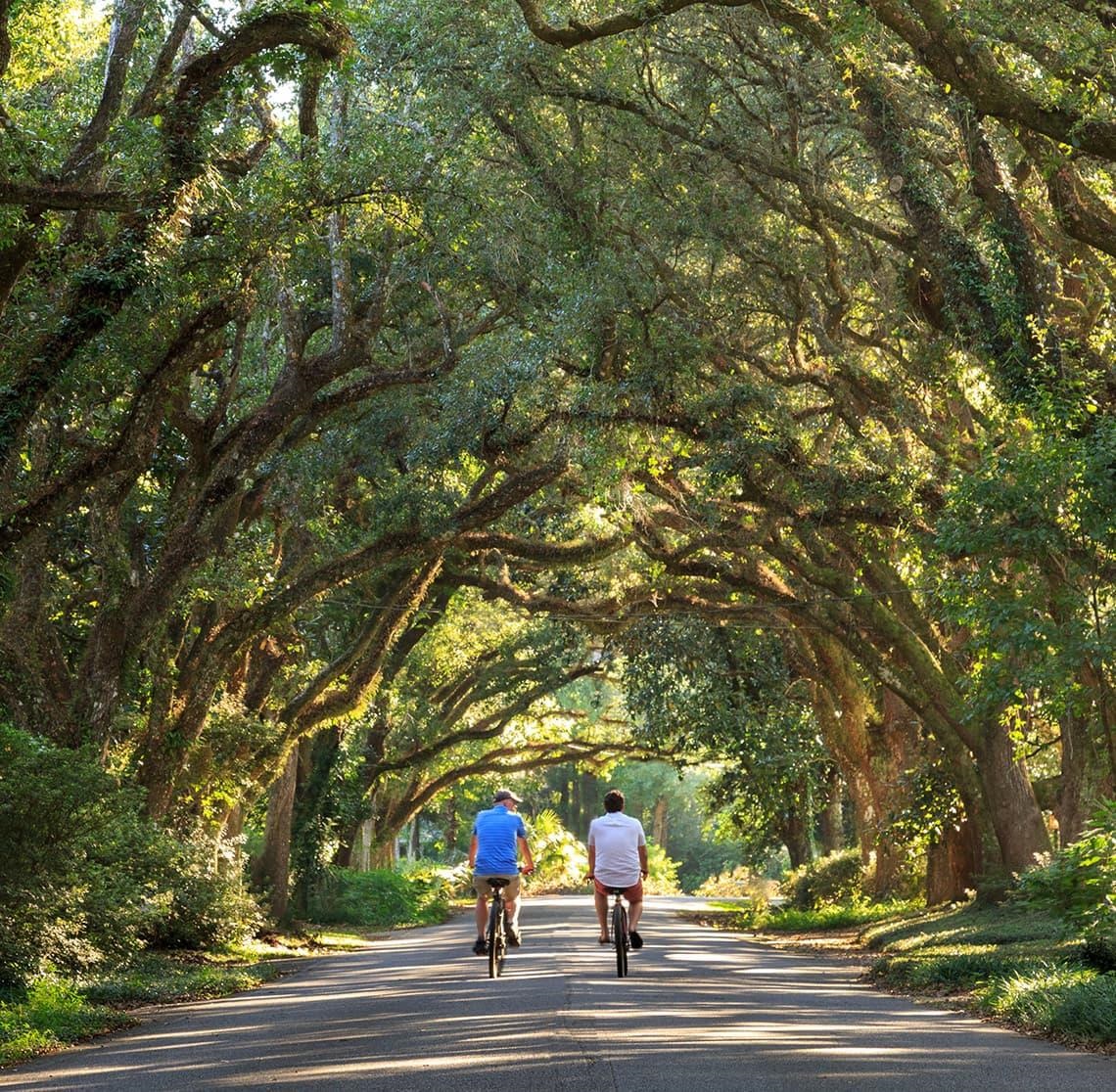 134 Daybreak Trail Fairhope, AL 36532 - Photo 41 of 45