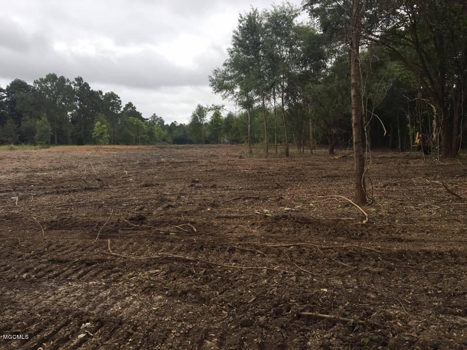 Tbd Lowery Road Gulfport, MS 39503 - Photo 2 of 7 Lowery Rd