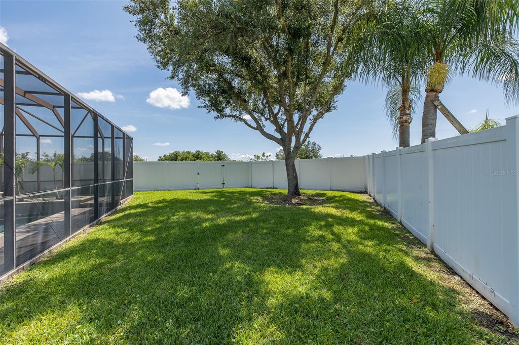 8918 Linebrook Drive Trinity, FL 34655 - Photo 67 of 76