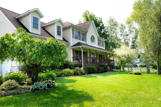 a view of a park with large trees