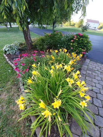 a front view of a house with garden and porch